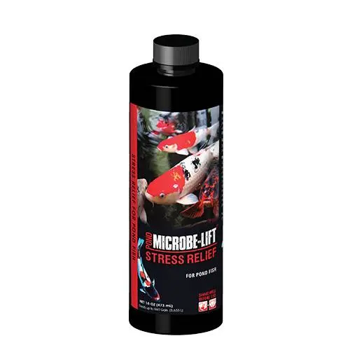 Ecological 16oz. Stress Relief