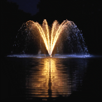 Kasco Stainless Steel LED Light Kit, 19 Watts., 120V, Includes color lenses w/red, blue, green & amber, Daisy chained together