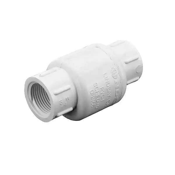 Easy Pro 3/4" x 3/4" fpt Plastic Check Valve