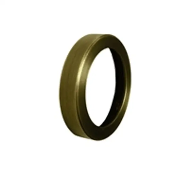 Anjon Manufacturing Brass 4-Watt Flat Lens Cap