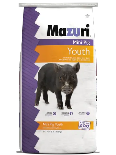 MAZURI MINI PIG YOUTH 25LB