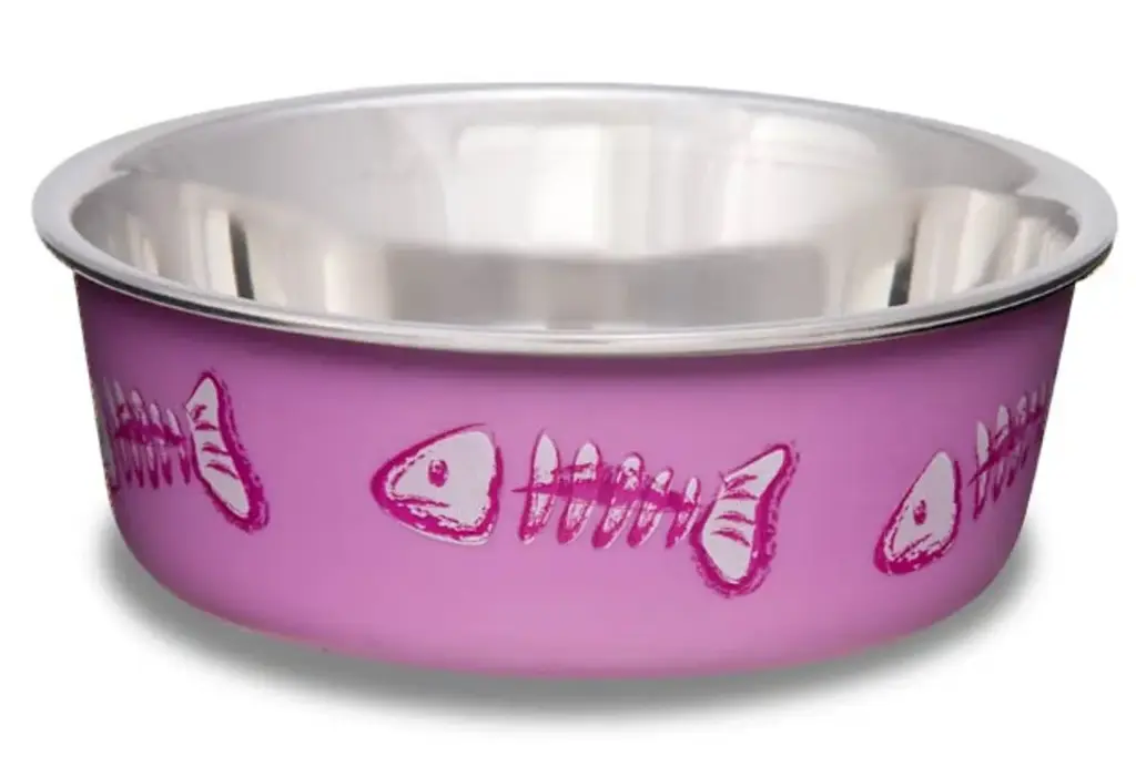 Loving Pet Bella Bowl X-Small Skeleton Design- Pink