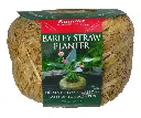 Discontinued Summit BARLEY STRAW PLANTER - Mini. - 3 oz.