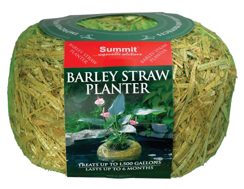 Discontinued Summit BARLEY STRAW PLANTER - Med. - 8 oz.