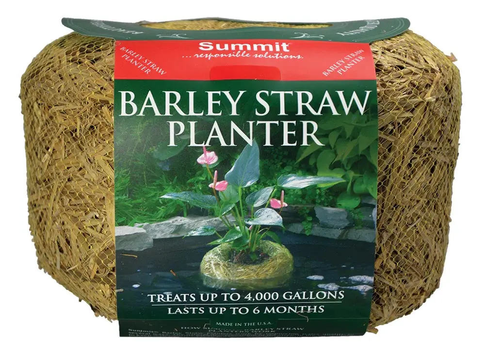 Discontinued Summit BARLEY STRAW PLANTER -Lg. - 14 oz.