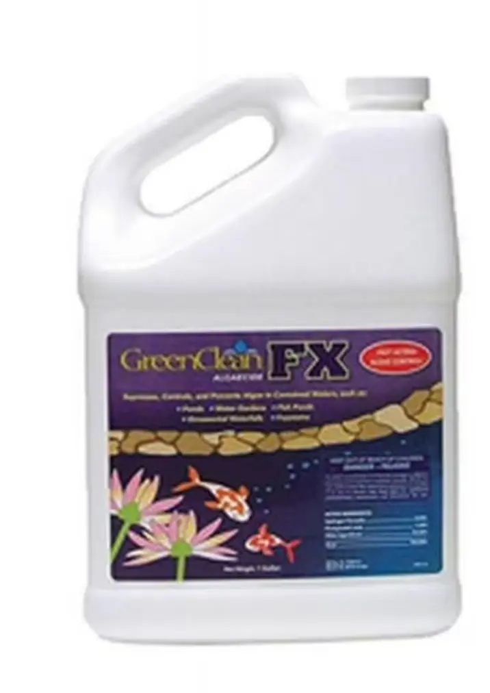 BioSafe Green Clean FX Liquid Algaecide 1 gal.