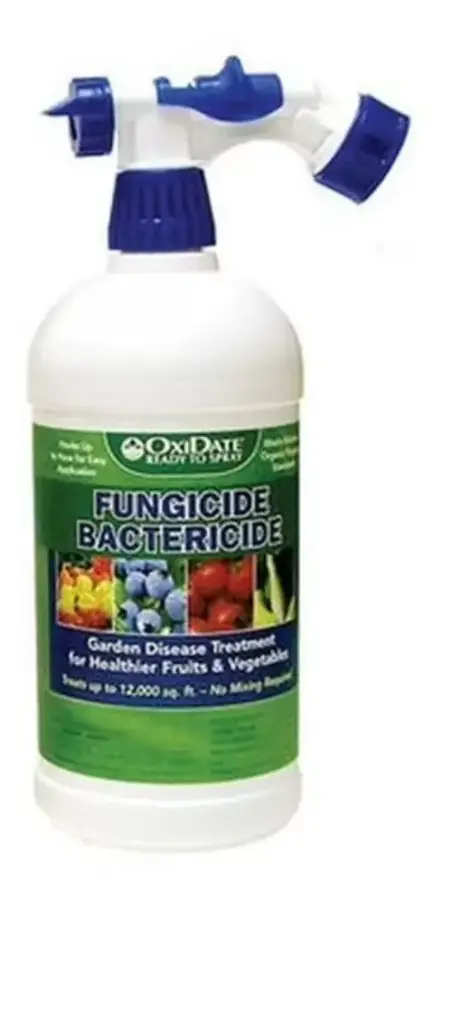 BioSafe Disease Control RTS (Formerly OxiDate Fungicide / Bacteria