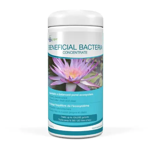 [AQS98949] AQUASCAPE BENEFICIAL BACTERIA CONCENTRATE - 1.1 LB / 500 G