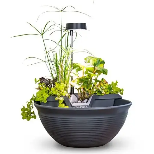 [AQS78347] AQUASCAPE AQUAGARDEN TABLETOP FOUNTAIN KIT GRAY