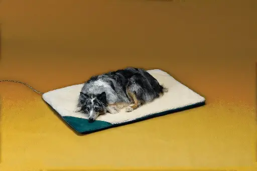[AL12PB-L] Allied Precision Large Heated Pet Bed (28" x 43")