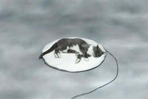 [AL12PB-R] Allied Precision Round Heated Pet Bed (23" Diameter)