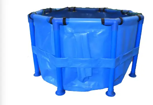 [KKKTA200] IKU KOI KICHI Koi Show Tank Blue 200cm (6.5 ft) w/Cover Net