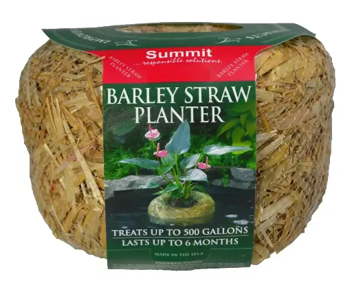 [SUM1138] Discontinued Summit BARLEY STRAW PLANTER - Mini. - 3 oz.