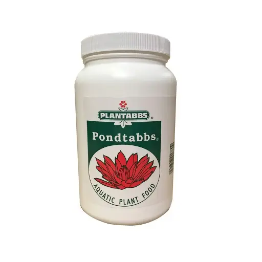 [PLTA0173] PONDTABBS - 2 CT.