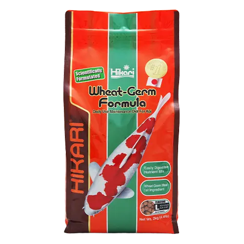 [HIK06470] WHEAT GERM 4.4 LB. LARGE