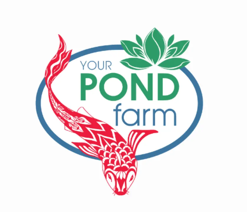 Your Pond Farm